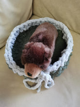Load image into Gallery viewer, Snuggly Pet Bed
